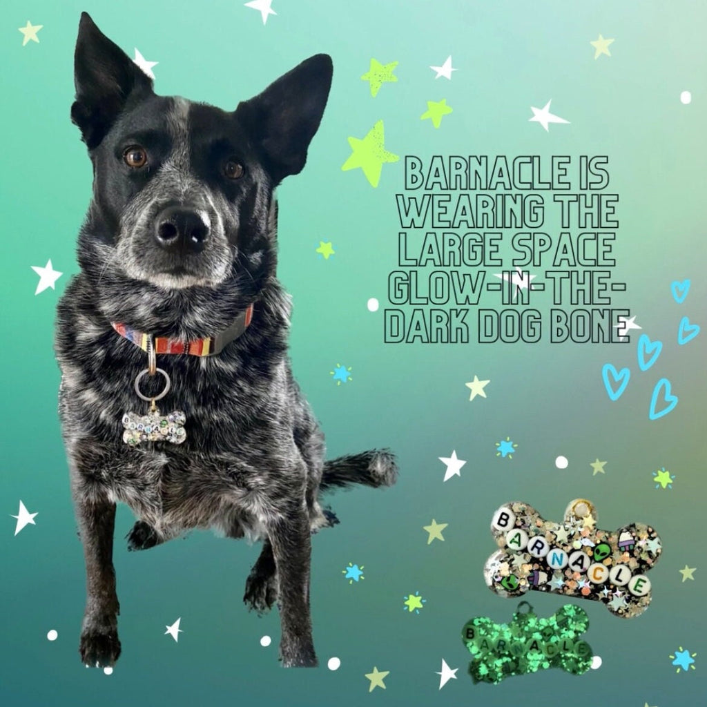 Space Sparkle Glow-in-the-Dark Pet ID Tag