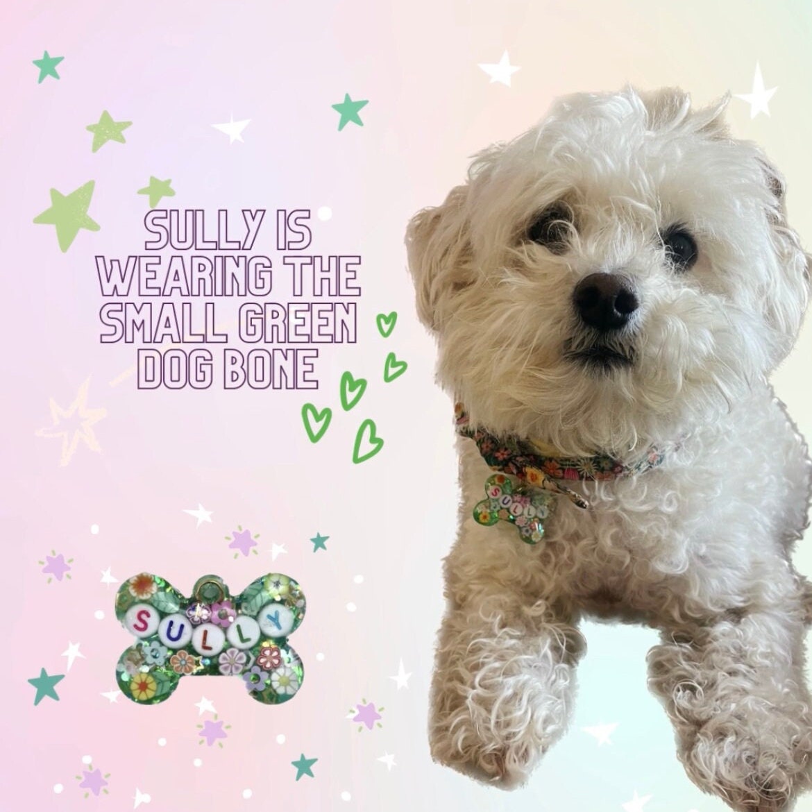 Green Floral Sparkle Pet ID Tag